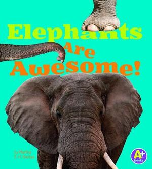 Elephants Are Awesome! image number 0