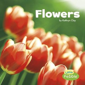 Flowers image number 0