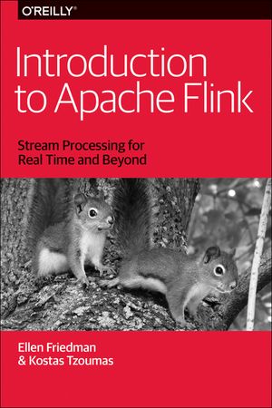 Introduction to Apache Flink: Stream Processing for Real Time and Beyond image number 0