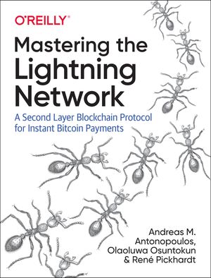 Mastering the Lightning Network: A Second Layer Blockchain Protocol for Instant Bitcoin Payments image number 0