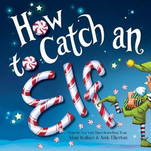 How to Catch an Elf image number 0