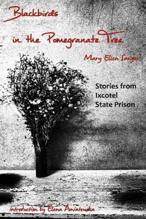Blackbirds in the Pomegranate Tree: Stories from Ixcotel State Prison image number 0