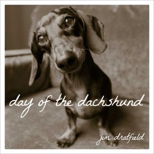 Day of the Dachshund image number 0