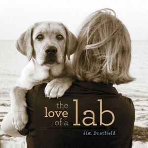 The Love of a Lab image number 0