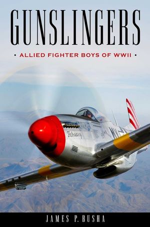 Gunslingers: Allied Fighter Boys of WWII image number 0