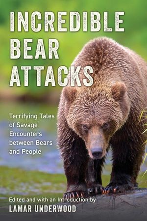When Bears Attack image number 0