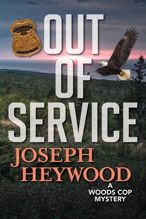 Out of Service image number 0