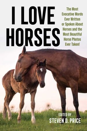I Love Horses image number 0