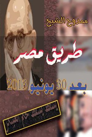 Egypt After June 30, 2013 image number 0