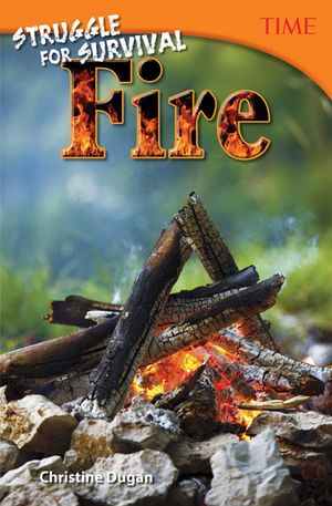 Struggle for Survival: Fire image number 0