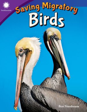 Saving Migratory Birds image number 0