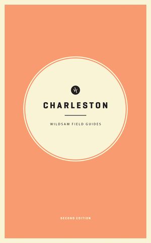 Charleston image number 0