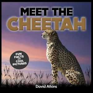 Meet The Cheetah: Fun Facts & Cool Pictures image number 0