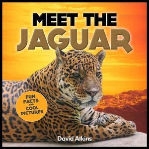 Meet The Jaguar: Fun Facts & Cool Pictures image number 0
