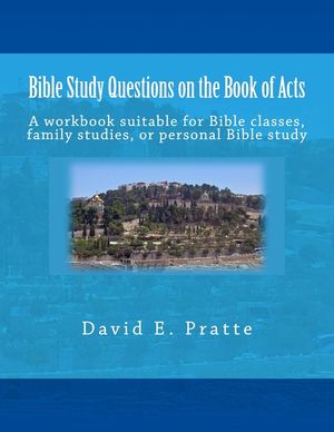 Bible Study Questions on the Book of Acts: A workbook suitable for Bible classes, family studies, or personal Bible study image number 0