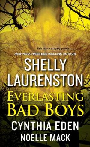 Everlasting Bad Boys image number 0