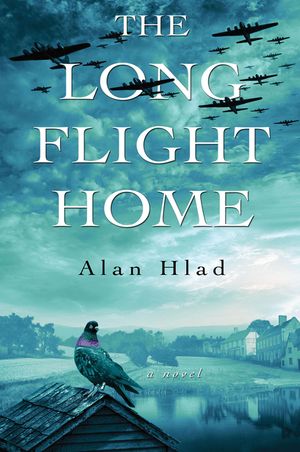 The Long Flight Home image number 0