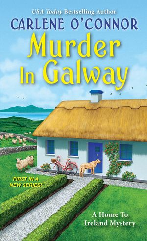 Murder in Galway image number 0