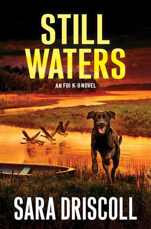 Still Waters image number 0