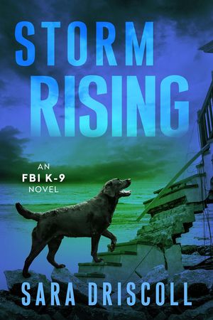 Storm Rising image number 0