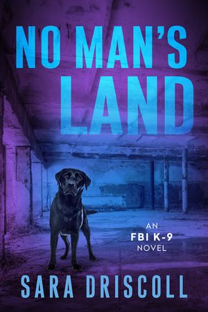 No Man's Land image number 0