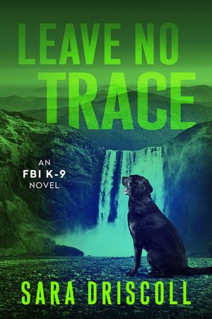 Leave No Trace image number 0
