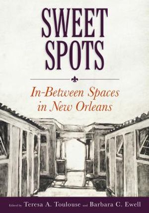Sweet Spots: In-Between Spaces in New Orleans image number 0