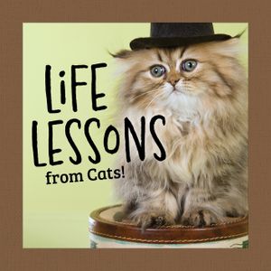 Life Lessons from Cats image number 0