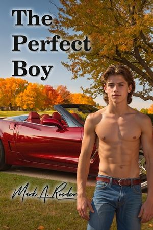 The Perfect Boy image number 0