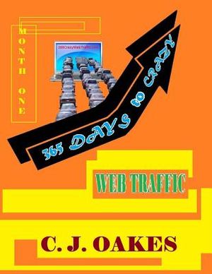 365 Days to Crazy Web Traffic image number 0