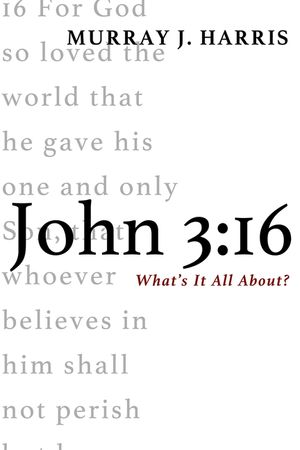 John 3: 16 image number 0