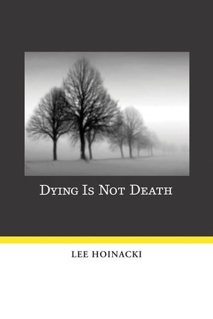 Dying Is Not Death image number 0