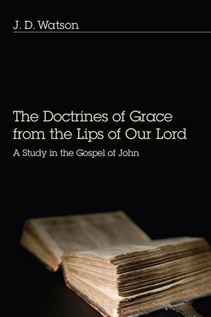 The Doctrines of Grace from the Lips of Our Lord image number 0