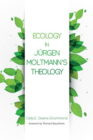 Ecology in Jurgen Moltmann's Theology image number 0