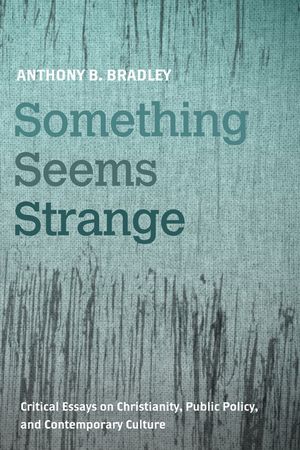 Something Seems Strange image number 0