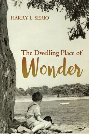 The Dwelling Place of Wonder image number 0