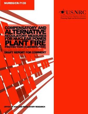 Compensatory and Alternative Regulatory Measures for Nuclear Power Plant Fire Protection (Carmen-Fire): Draft Report for Comment image number 0