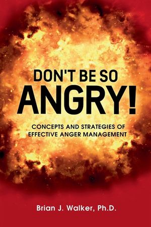 Don't Be So Angry!: Concepts and Strategies of Effective Anger Management image number 0