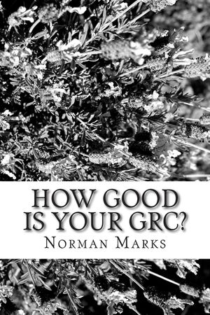 How Good is your GRC?: Twelve Questions to Guide Executives, Boards, and Practitioners image number 0