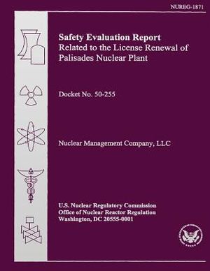 Safety Evaluation Report Related to the License Renewal of Palisades Nuclear Plant image number 0