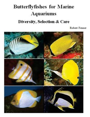 Butterflyfishes for Marine Aquariums: Diversity, Selection & Care image number 0