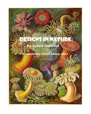 Designs in Nature: the incredible art of Ernst Haeckel image number 0