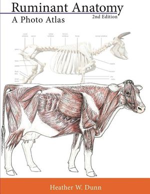 Ruminant Anatomy: A Photo Atlas image number 0