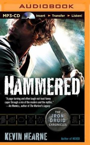 Hammered image number 0