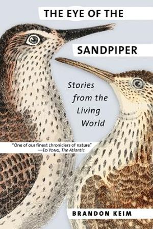 The Eye of the Sandpiper: Stories from the Living World image number 0