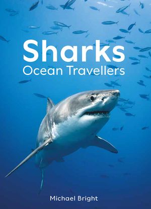 Sharks: Ocean Travellers image number 0