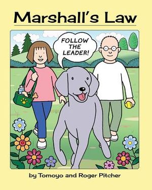Marshall's Law image number 0