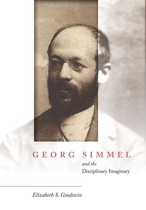 Georg Simmel and the Disciplinary Imaginary image number 0