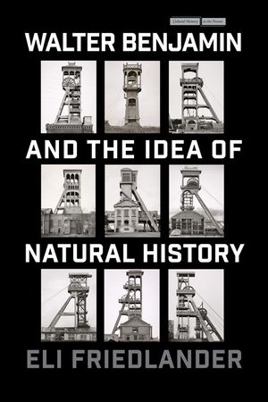 Walter Benjamin and the Idea of Natural History image number 0