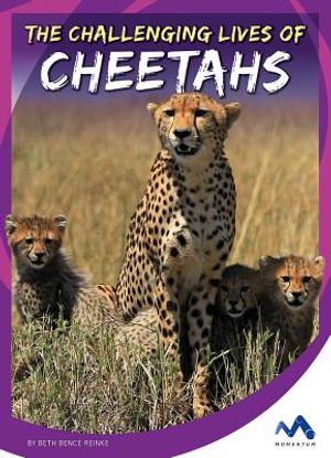 The Challenging Lives of Cheetahs image number 0